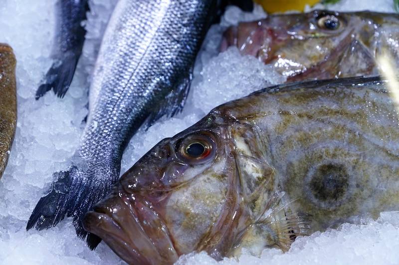 Congelar el pescado evita problemas de salud