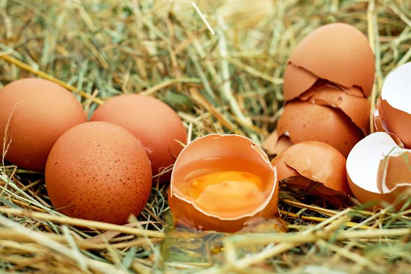 Los huevos recuperan su buen nombre respecto al colesterol